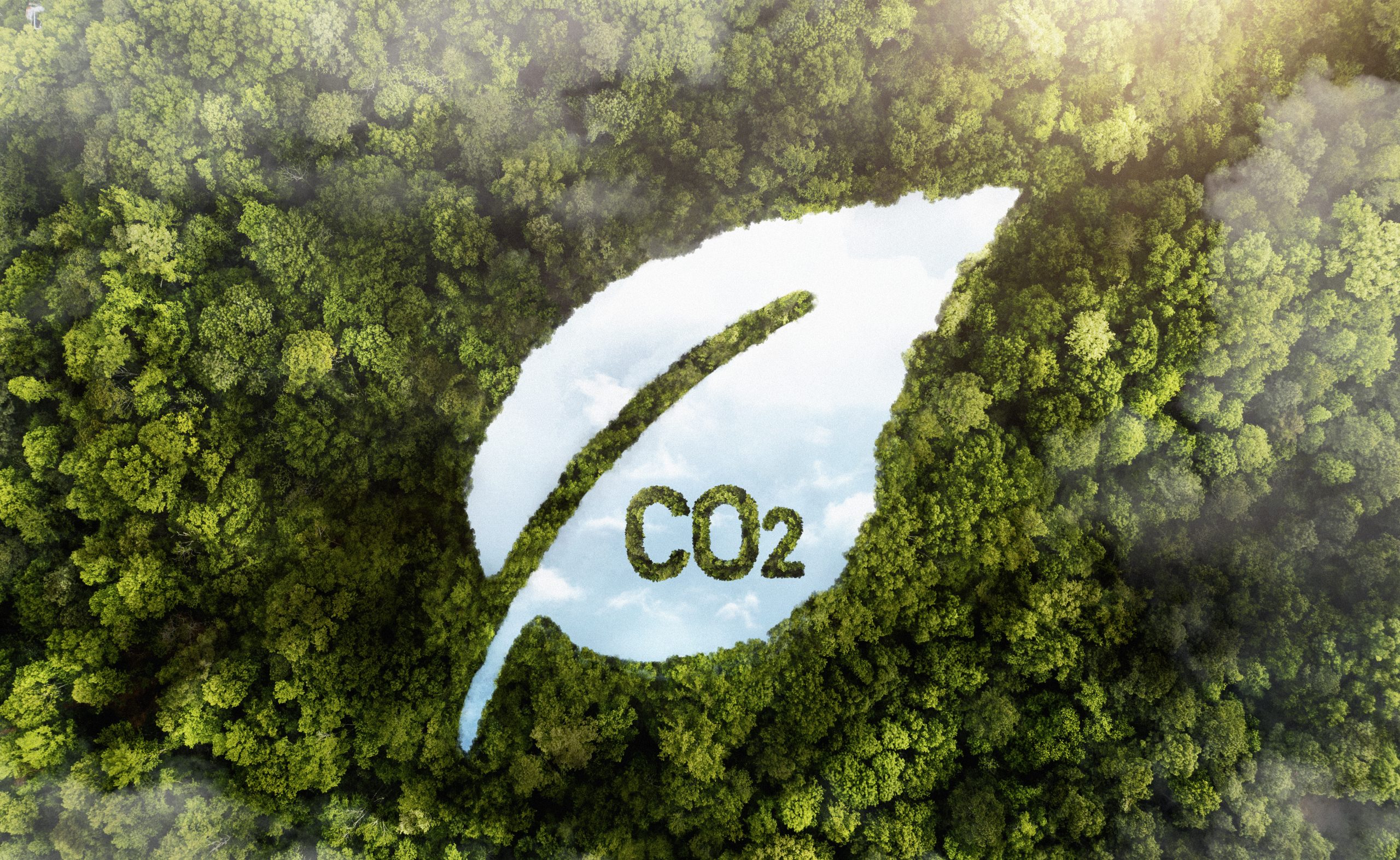 Pegada de Carbono