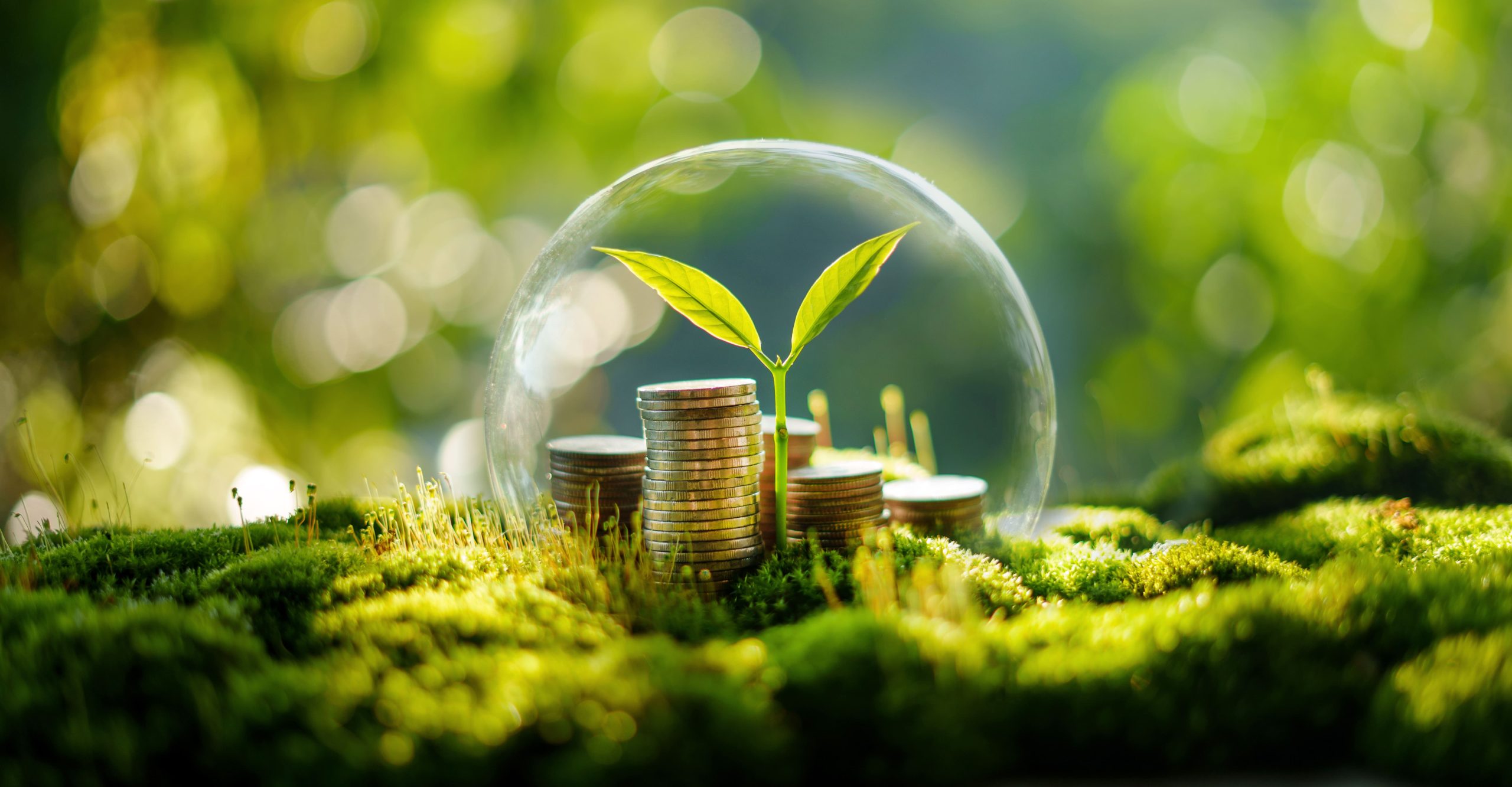 Certificados de Energia Renovável (RECs)